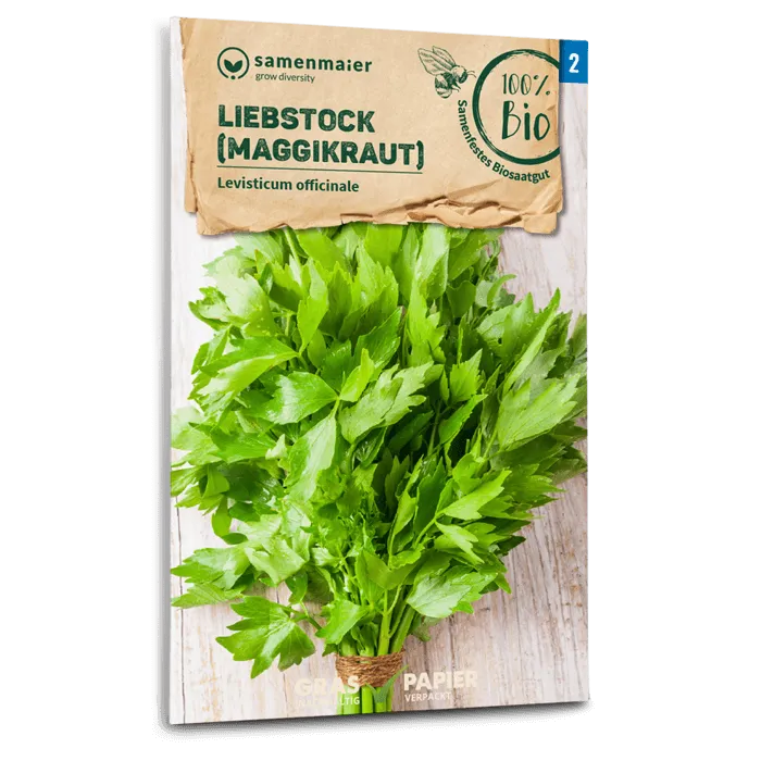 samen-maier-bio-liebstock-maggikraut-kr-utersamen image 1