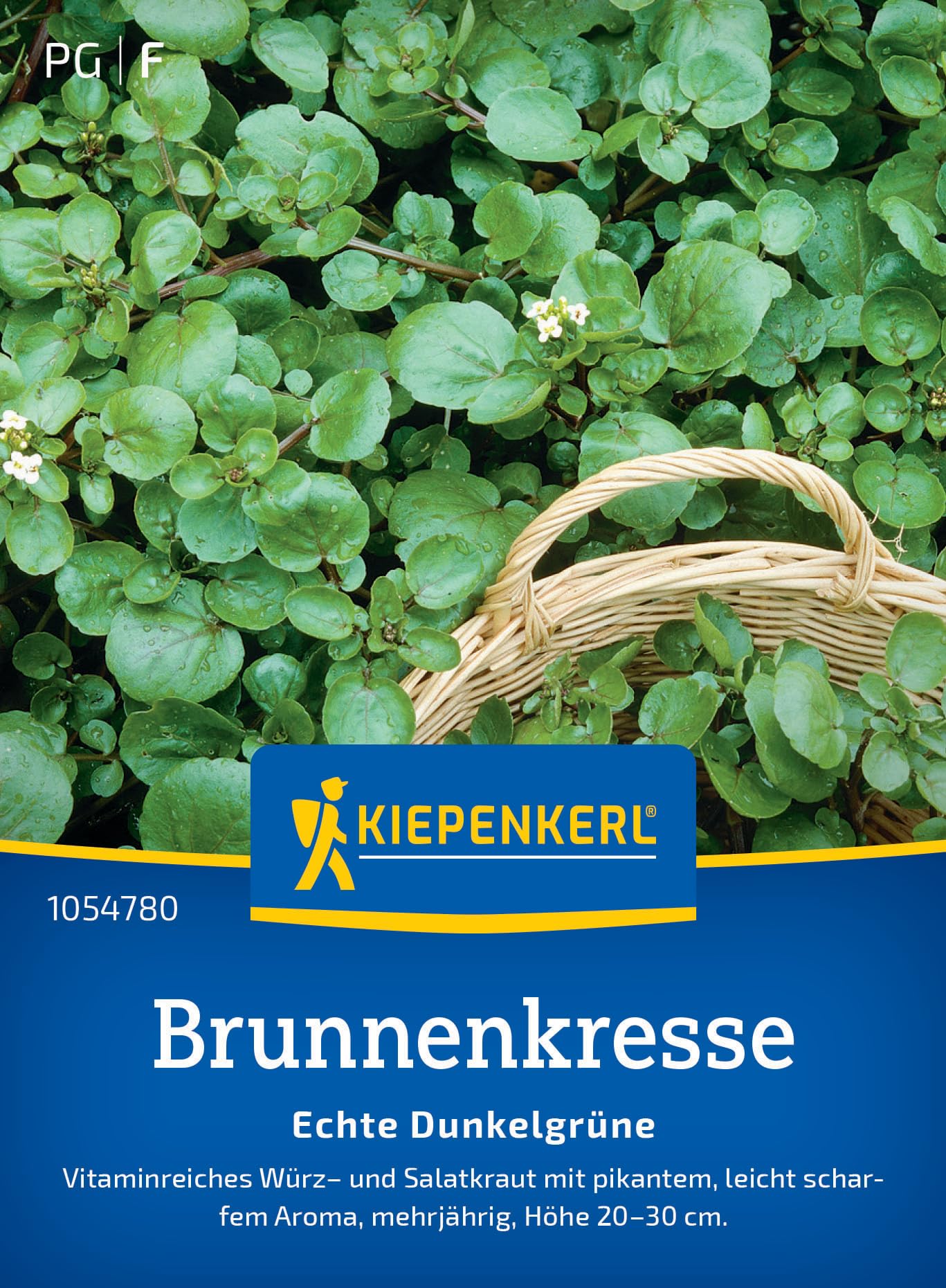 kiepenkerl-schnittknoblauch-neko-1057940-kr-utersaat image 8