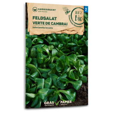 samen-maier-bio-feldsalat-verte-de-cambrai-wintersamen image 3
