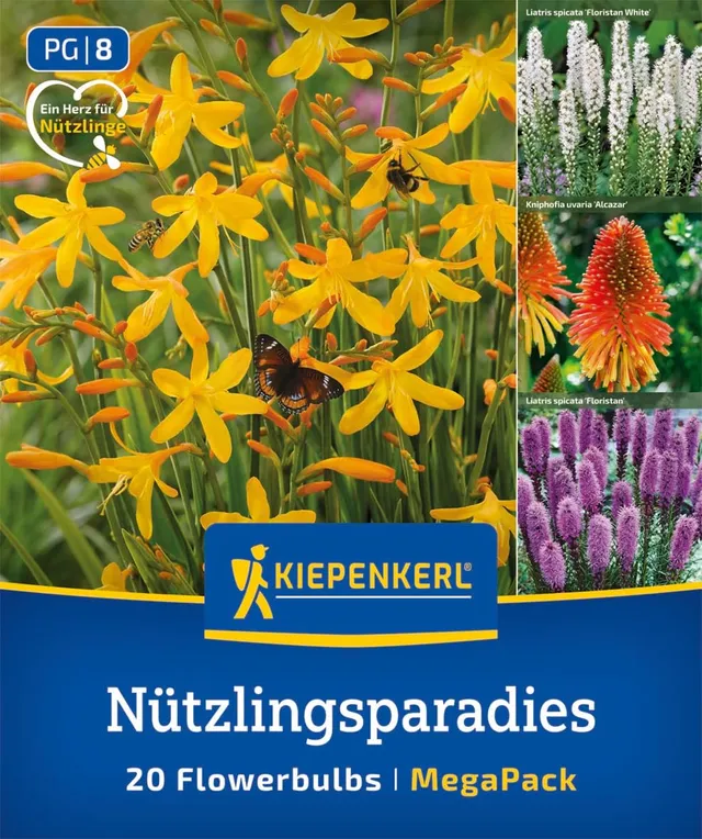 kiepenkerl-blumenzwiebelmischung-n-tzlingsparadies-mega-pack-bienenfreundlich-me image 1