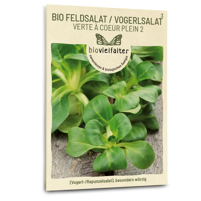 samen-maier-bio-feldsalat-verte-coeur-plein-2-saatgut image 1