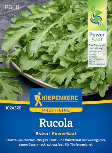 kiepenkerl-rucola-astra-profi-line-gem-sesaat image 7