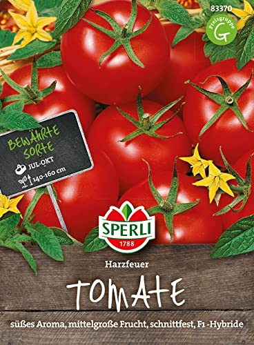 sperli-premium-tomate-harzfeuer-s-aromatische-freiland-tomaten-samen image 6
