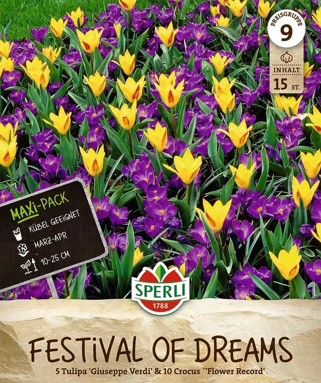 sperli-maxi-festival-of-dreams-462845-blumenzwiebeln-krokus-tulpen-mischung image 1