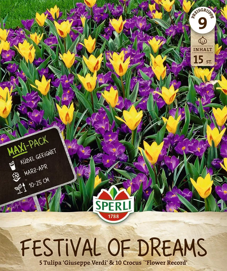 sperli-maxi-festival-of-dreams-462845-blumenzwiebeln-krokus-tulpen-mischung image 1