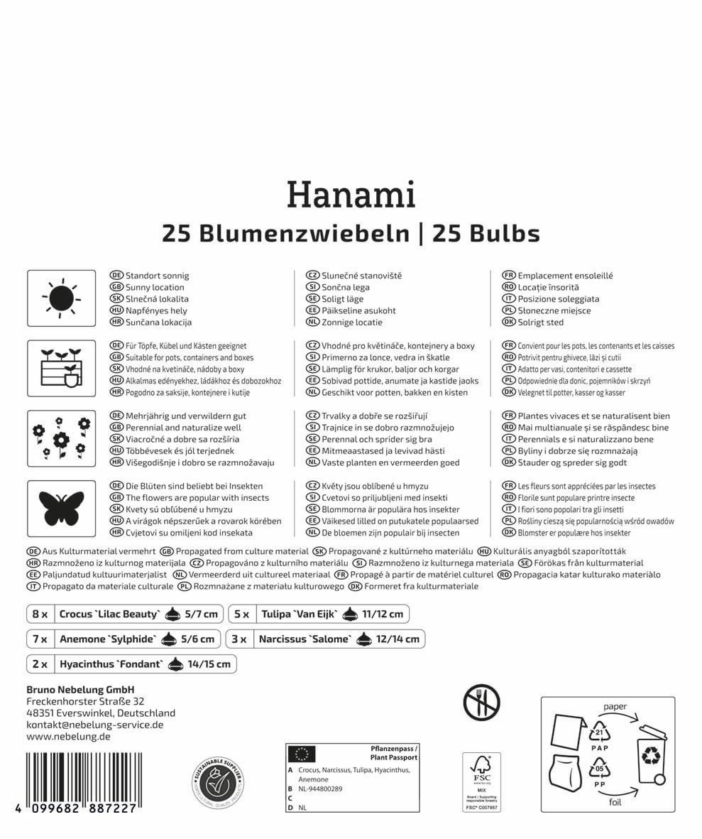 kiepenkerl-mega-pack-blumenzwiebelmischung-hanami-mix-2875049-fr-hbl-her-blumenz image 2