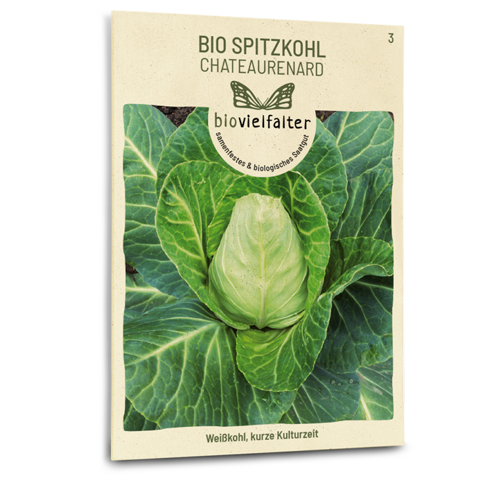 samen-maier-bio-spitzkohl-chateaurenard-samen image 1