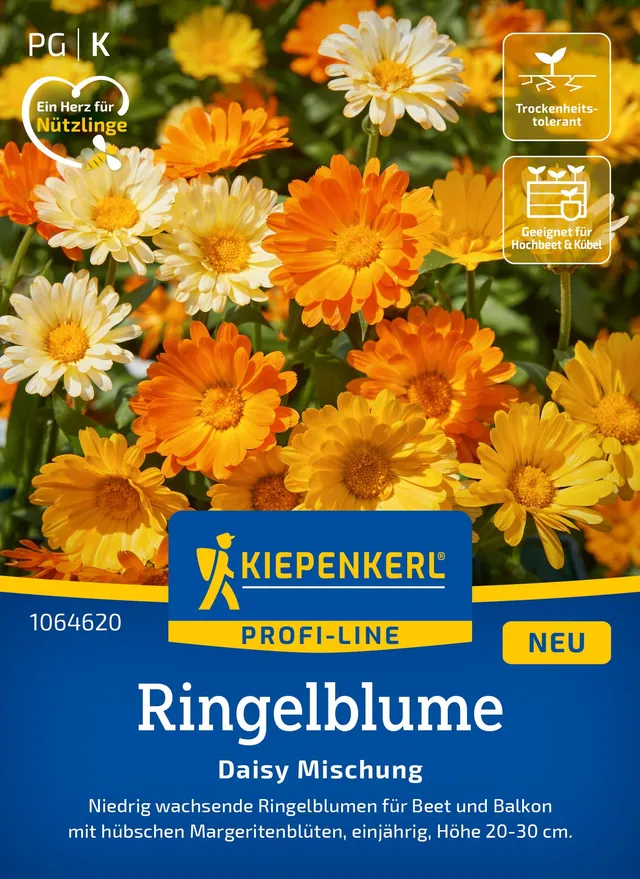 kiepenkerl-daisy-mischung-ringelblumen-sommerblumensamen image 1
