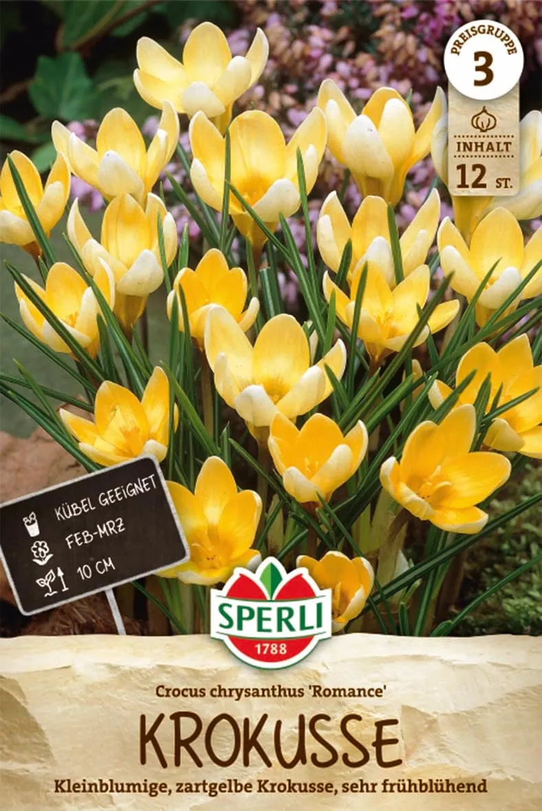 sperli-wildkrokus-romance-459234-blumenzwiebeln-winterhart-mehrj-hrig image 1