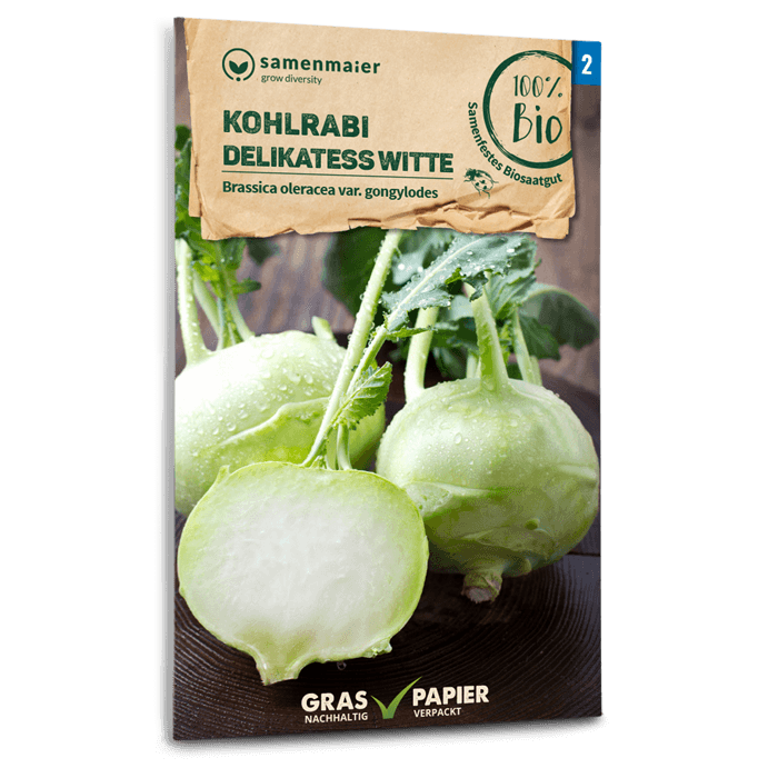 samen-maier-bio-kohlrabi-delikatess-witte-samen image 1