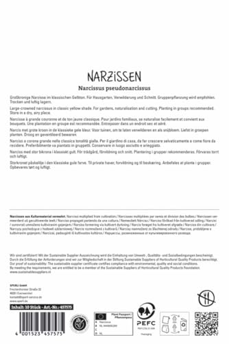 sperli-gro-kronige-narzisse-carlton-blumenzwiebeln-gelbe-osterglocken image 4