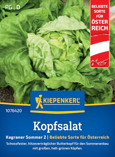 kiepenkerl-kopfsalatsamen-kagraner-sommer-2-gem-sesaat image 7