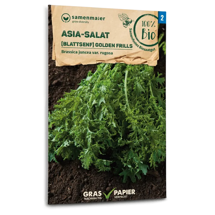 samen-maier-bio-asia-salat-golden-frills-blattsenf-saatgut image 1