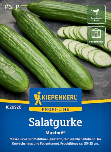 kiepenkerl-salatgurke-maxim-gem-sesaatgut image 7
