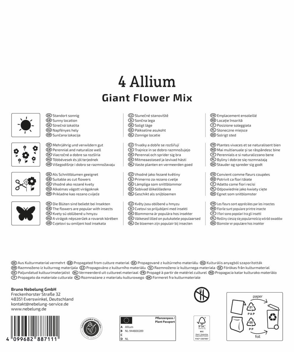 kiepenkerl-mega-pack-zierlauch-allium-mischung-blumenzwiebeln-4-sorten-winterhar image 2