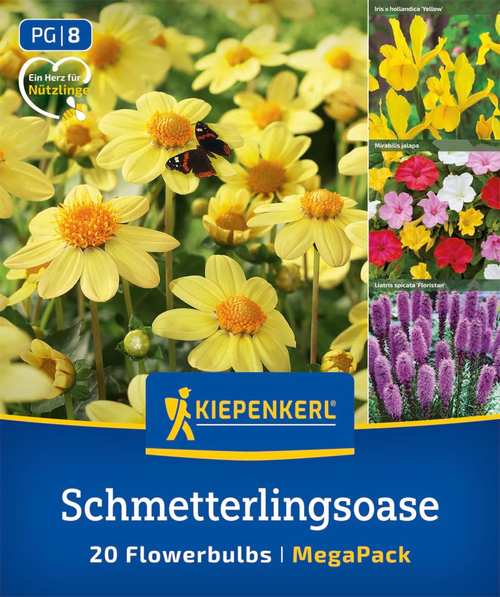kiepenkerl-mega-pack-schmetterlingsoase-blumenzwiebelmischung-bienenfreundlich image 1