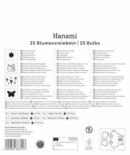 kiepenkerl-mega-pack-blumenzwiebelmischung-hanami-mix-2875049-fr-hbl-her-blumenz image 7