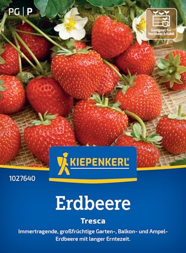 kiepenkerl-erdbeersamen-tresca-1027640-gem-sesaat image 8