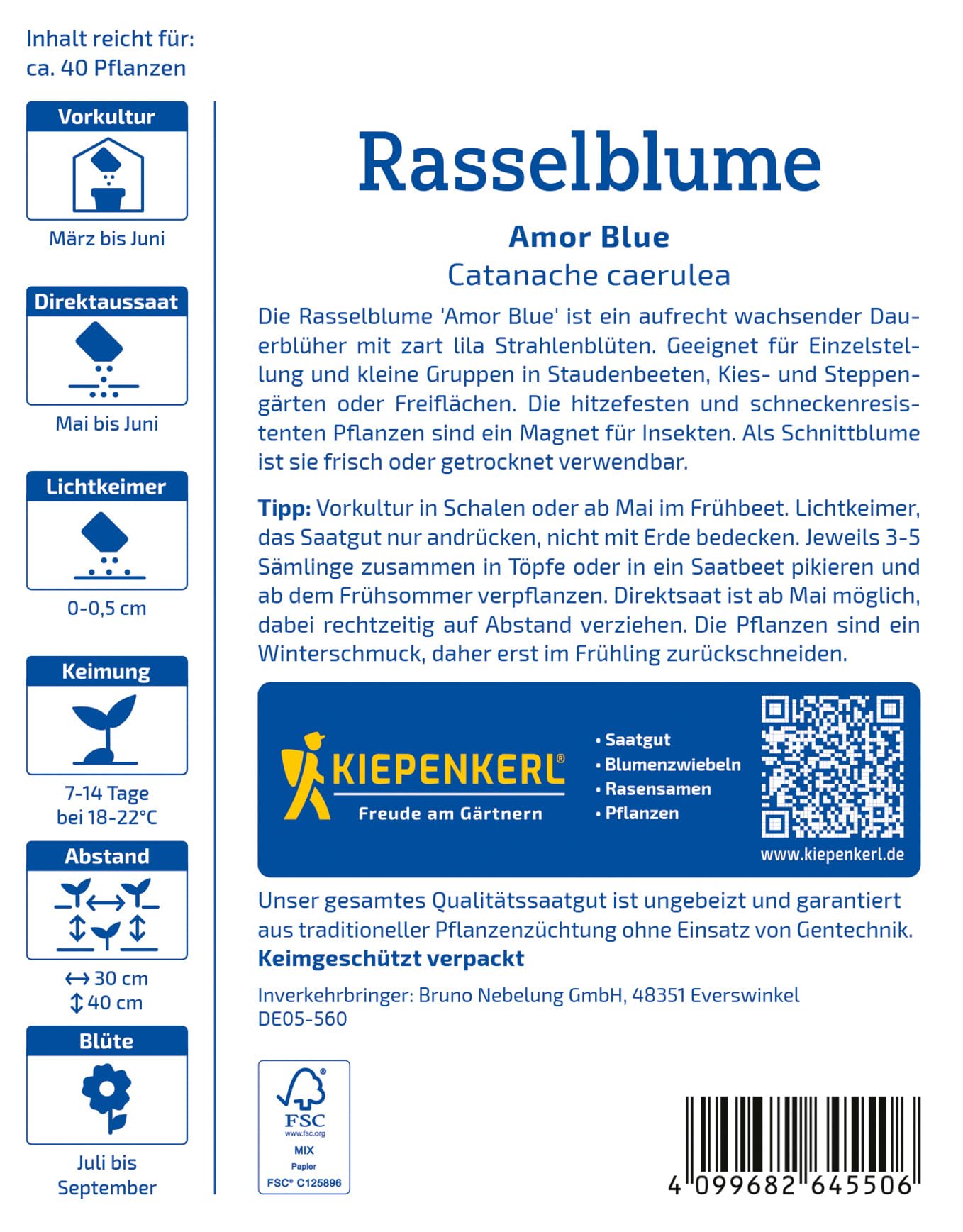 kiepenkerl-rasselblumensamen-amor-blue-blumensaat image 2