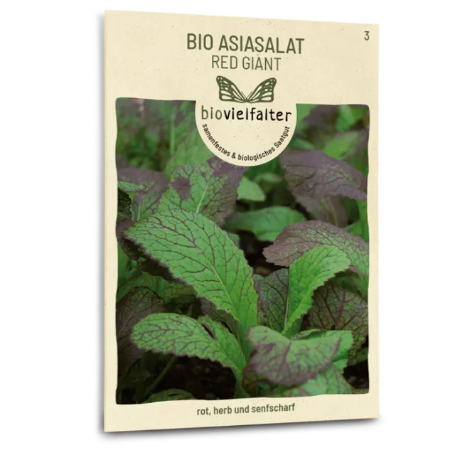 samen-maier-bio-asia-salat-red-giant-salatsamen image 1