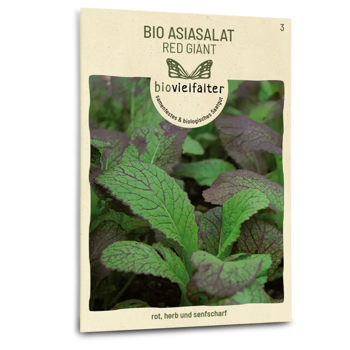 samen-maier-bio-asia-salat-red-giant-salatsamen image 1