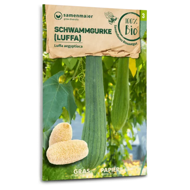 samen-maier-bio-schwammgurke-luffa-saatgut image 1