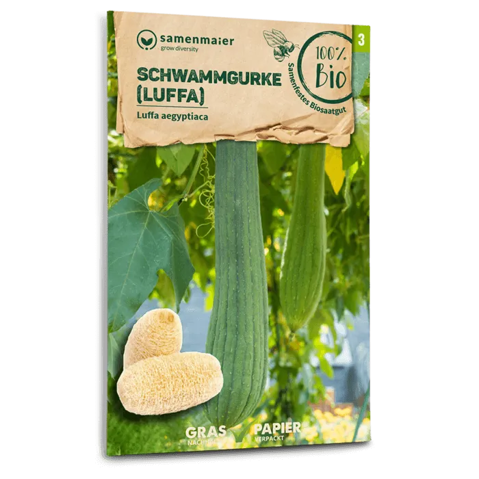 samen-maier-bio-schwammgurke-luffa-saatgut image 1