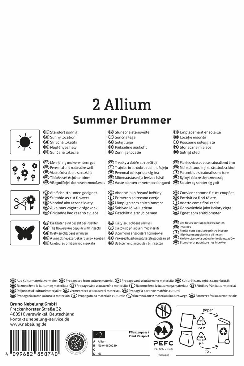 kiepenkerl-profi-line-zierlauch-summer-drummer-alliumzwiebeln-150-cm-purpur-wei image 2