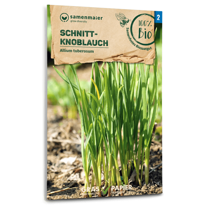 samen-maier-bio-schnittknoblauch-saatgut image 1