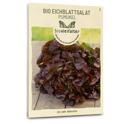 samen-maier-bio-eichblattsalat-pumukel-bio-salatsamen-gr-n image 3