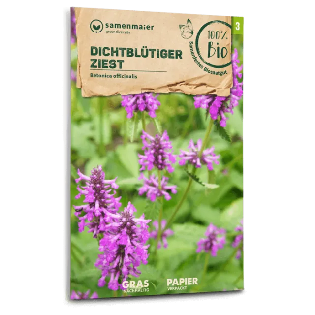 samen-maier-bio-wildblumen-dichtbl-tiger-ziest-saatgut-in-graspapier image 1
