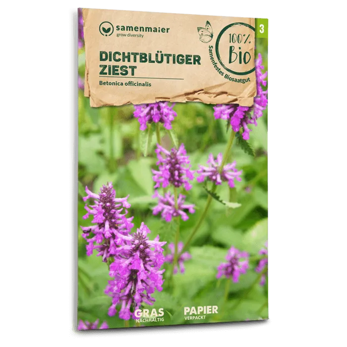 samen-maier-bio-wildblumen-dichtbl-tiger-ziest-saatgut-in-graspapier image 1