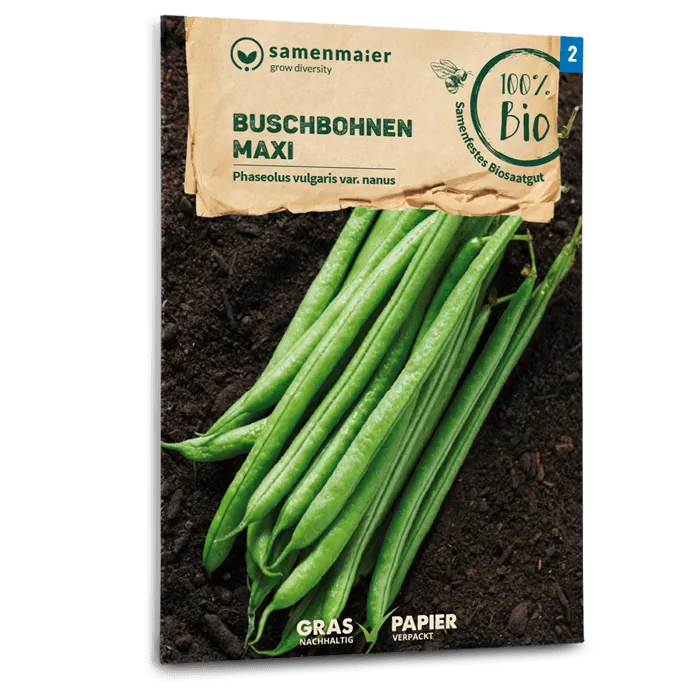 samen-maier-bio-buschbohnen-maxi-saatgut image 1