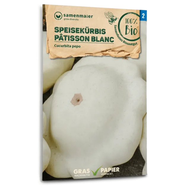 samen-maier-bio-speisek-rbis-patisson-blanc-samen image 1