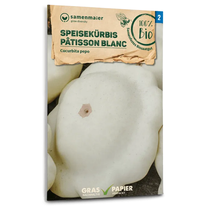 samen-maier-bio-speisek-rbis-patisson-blanc-samen image 1