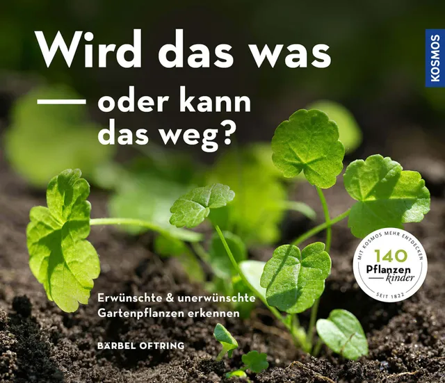 samen-maier-wird-das-was-oder-kann-das-weg-jungpflanzen-bestimmungsbuch image 1
