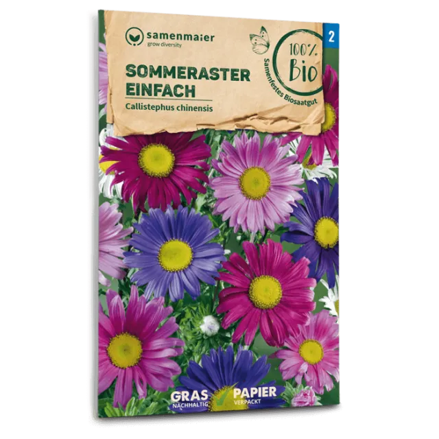 samen-maier-bio-sommeraster-einfach-schnittblumen-saatgut image 1