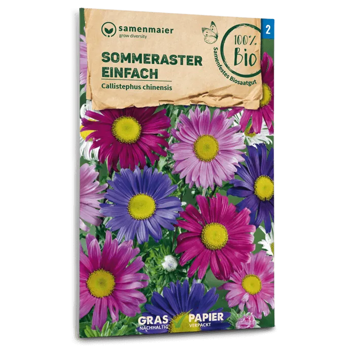 samen-maier-bio-sommeraster-einfach-schnittblumen-saatgut image 1