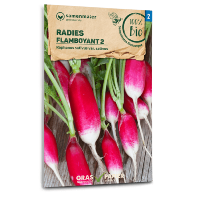 samen-maier-bio-radieschen-flamboyant-2-l-nglich-rot-wei image 3