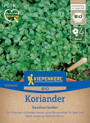 kiepenkerl-bio-koriandersamen-saatkoriander-1054420-kr-utersaat image 7