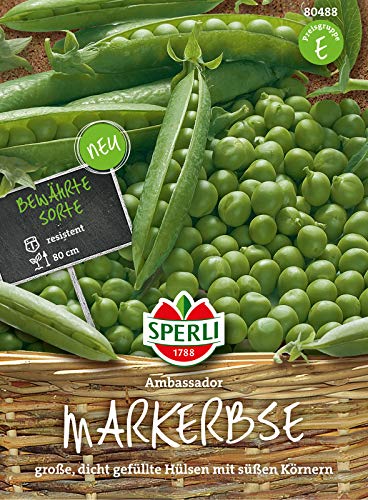 sperli-premium-markerbse-ambassador-80488-erbsensamen image 3