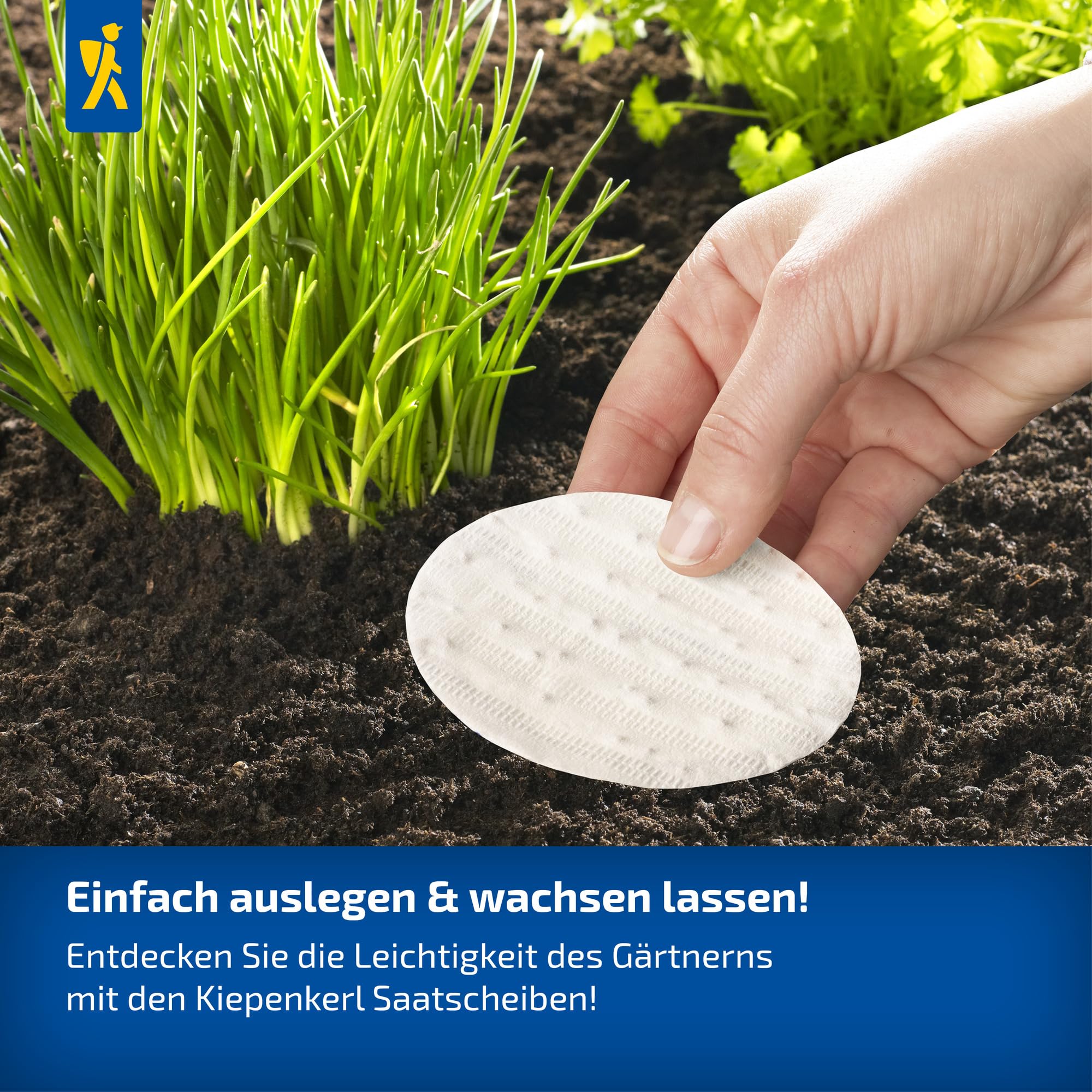 kiepenkerl-profi-line-petersiliensamen-laura-kr-utersaat-saatscheibe image 3