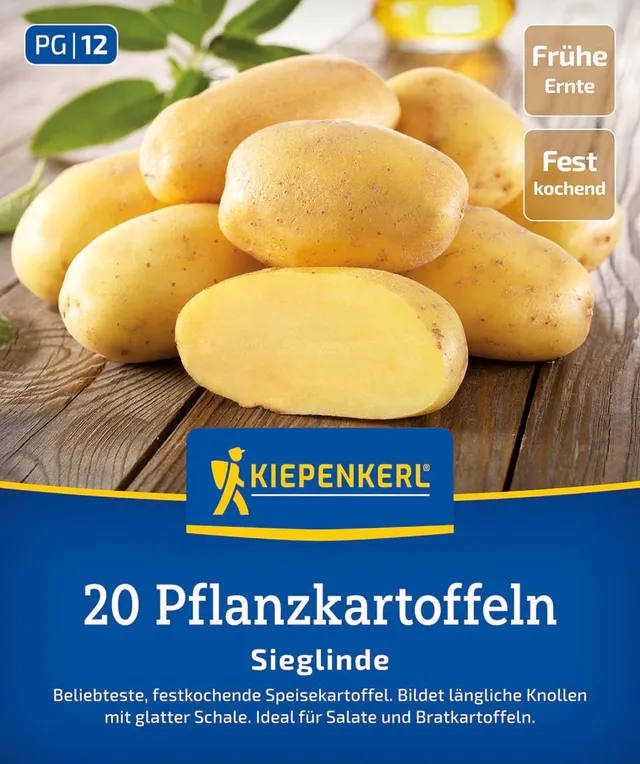 kiepenkerl-pflanzkartoffel-sieglinde-festkochend-fr-h image 1