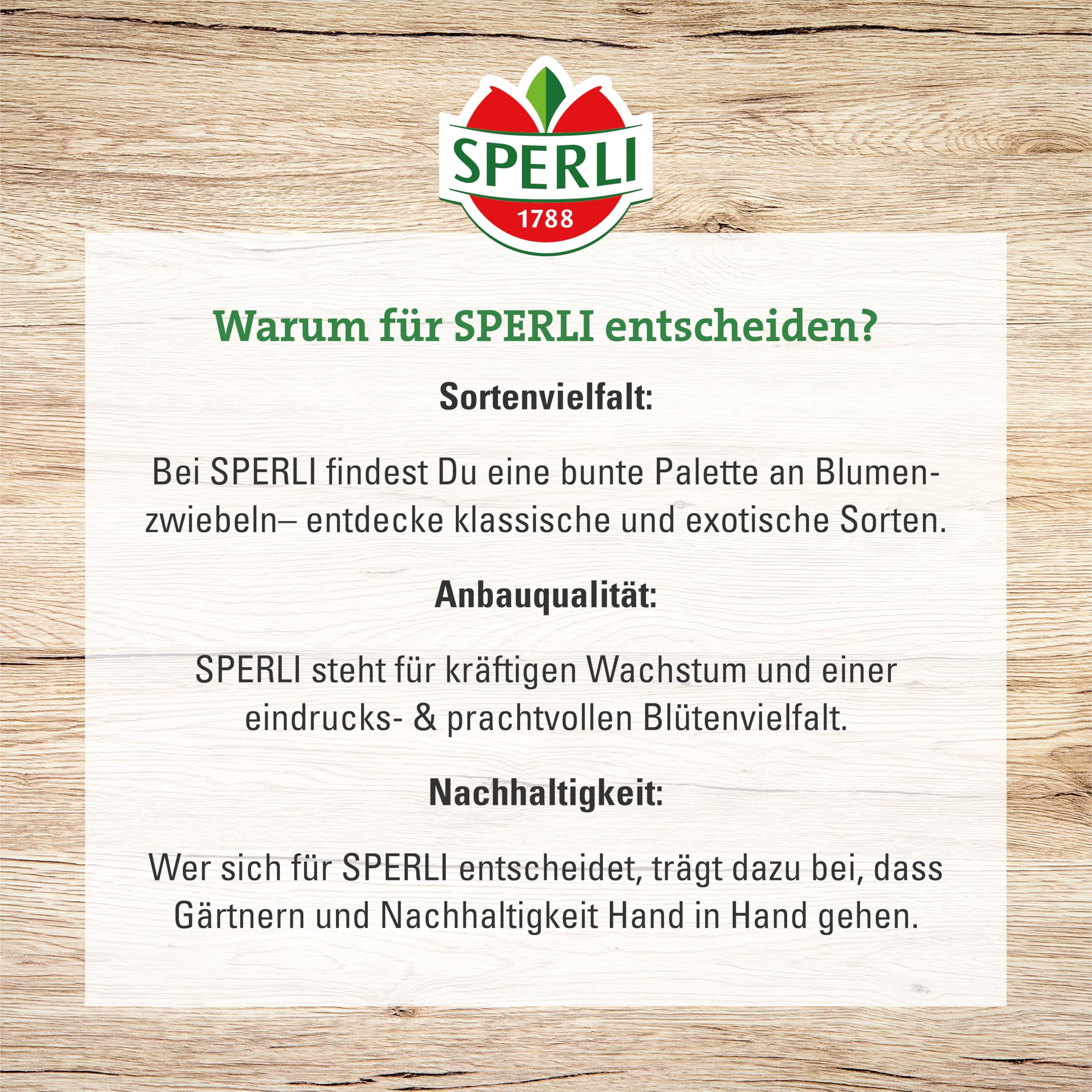 sperli-persische-kaiserkrone-adiyaman-459197-80-cm-violettschwarz image 4