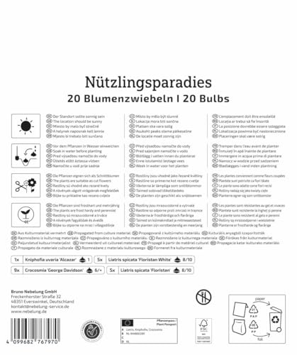 kiepenkerl-blumenzwiebelmischung-n-tzlingsparadies-mega-pack-bienenfreundlich-me image 8