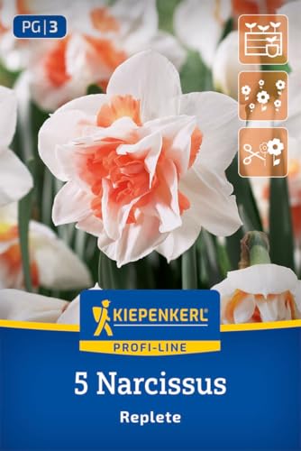 kiepenkerl-profi-line-gef-llte-narzisse-replete-blumenzwiebeln image 7