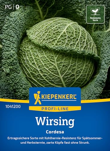 kiepenkerl-wirsingsamen-cordesa-1041200-profi-line image 7