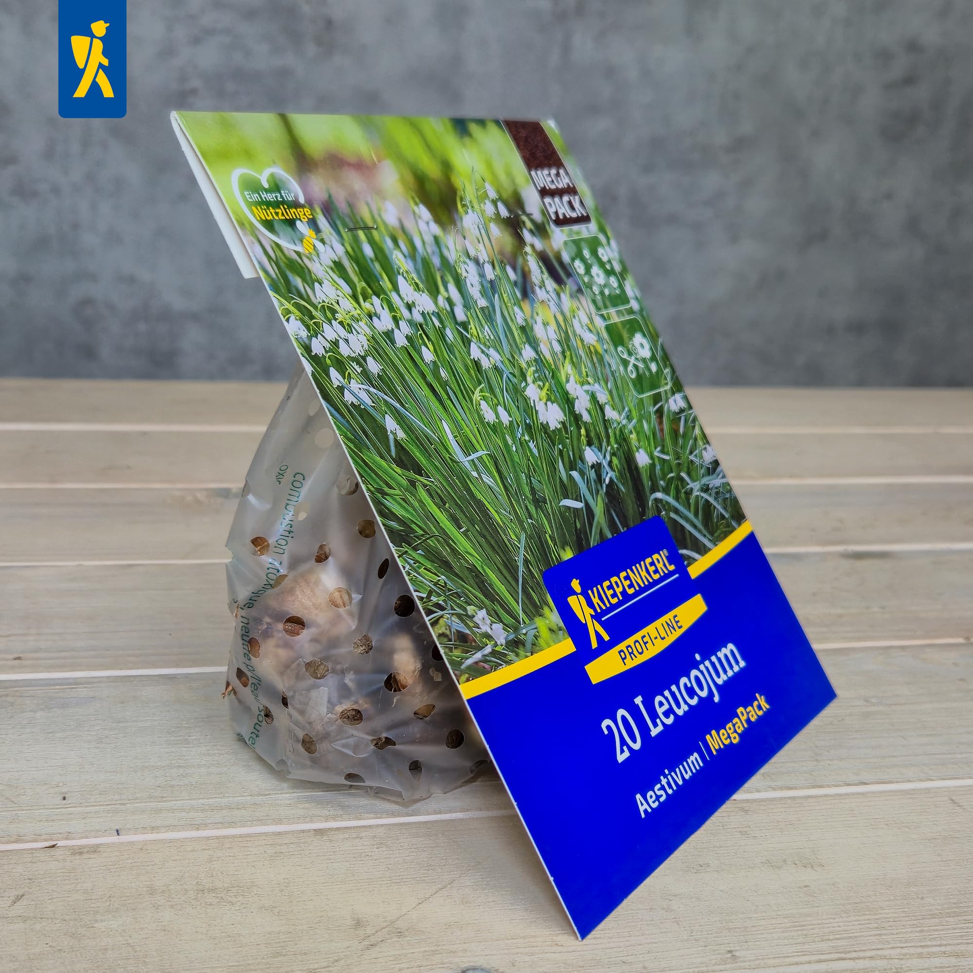 kiepenkerl-sommerknotenblume-leucojum-aestivum-mega-pack-20-pflanzen-wei image 4