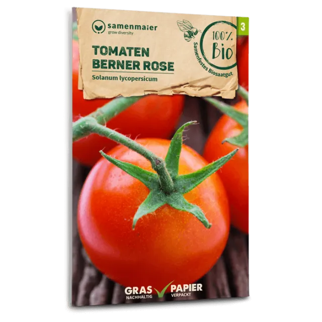 samen-maier-bio-tomaten-berner-rose-fleischtomate-saatgut image 1