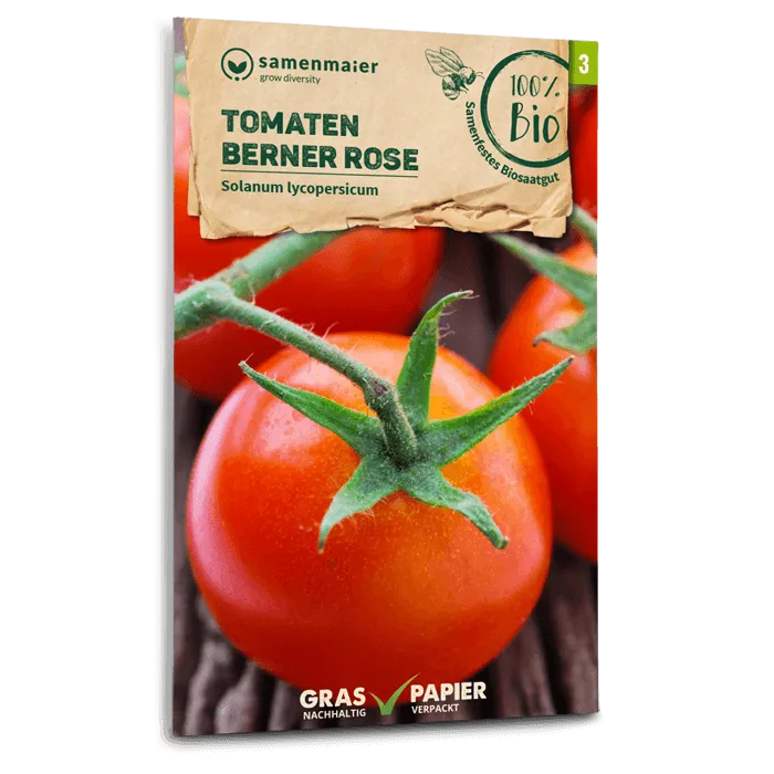 samen-maier-bio-tomaten-berner-rose-fleischtomate-saatgut image 1